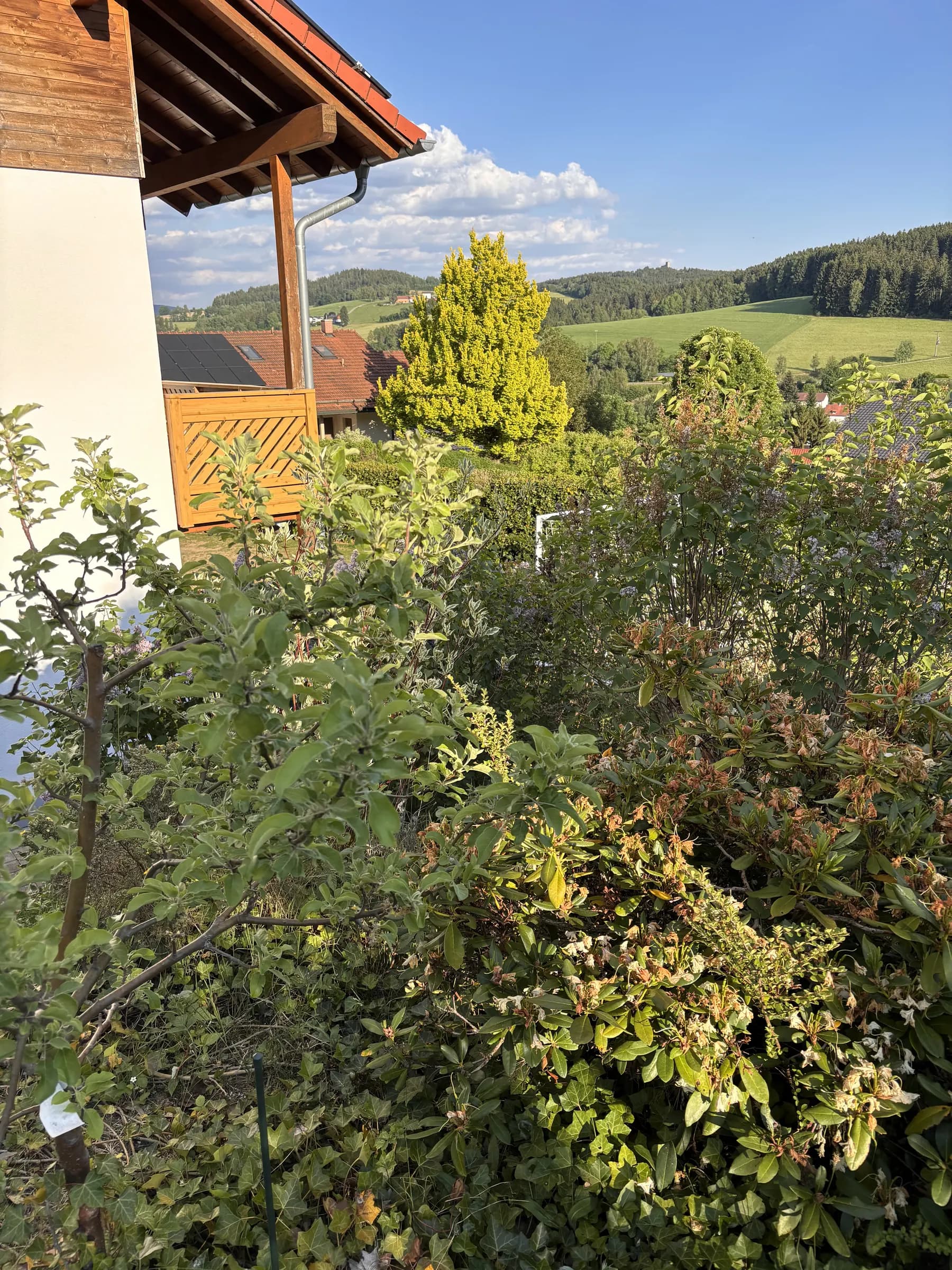 Hanghaus mit angrenzendem Garten