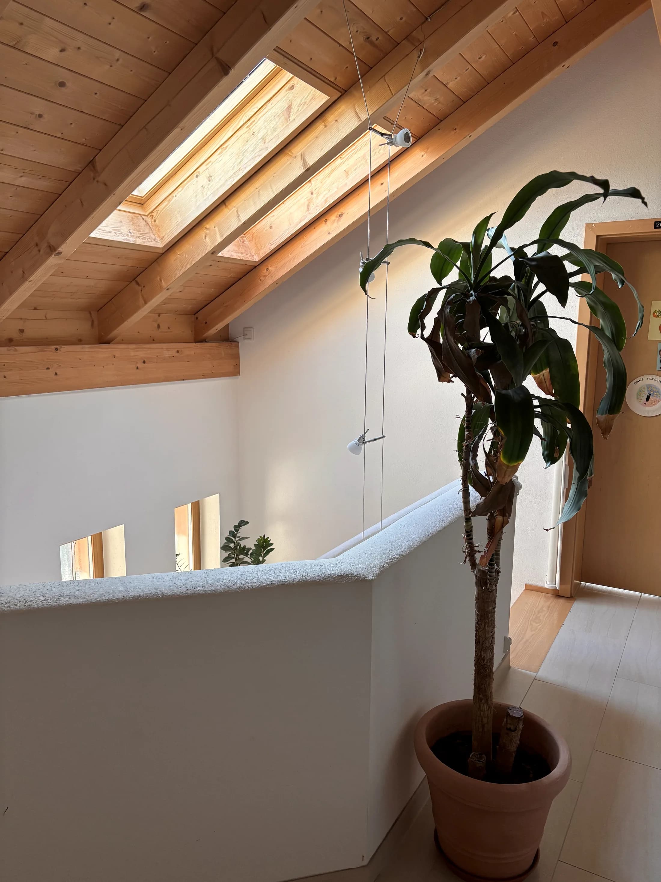 Holztreppe und lichtdurchflutetes Treppenhaus